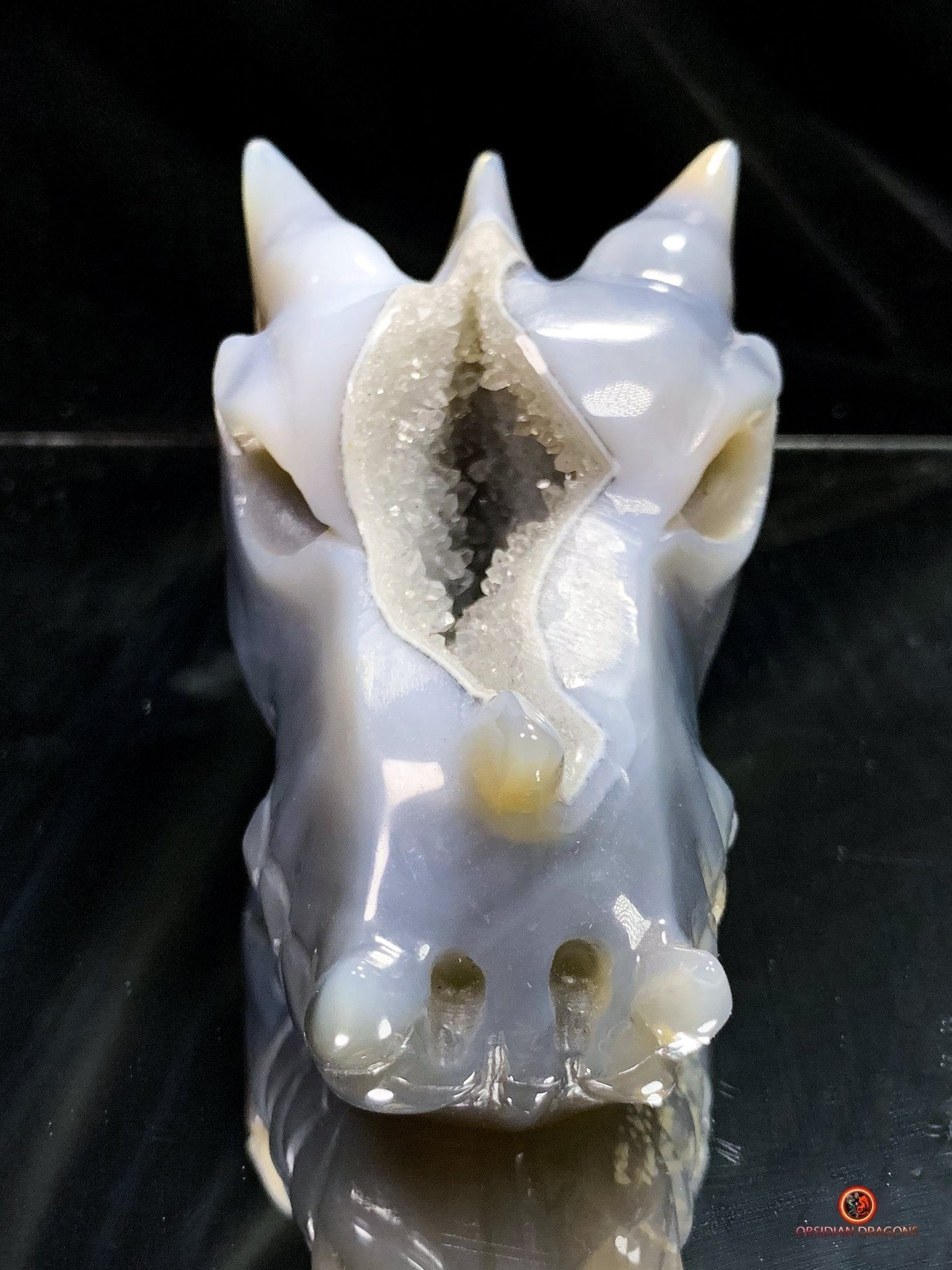 Crâne de Dragon en Géode de Quartz – Éveil et Protection | obsidian dragons