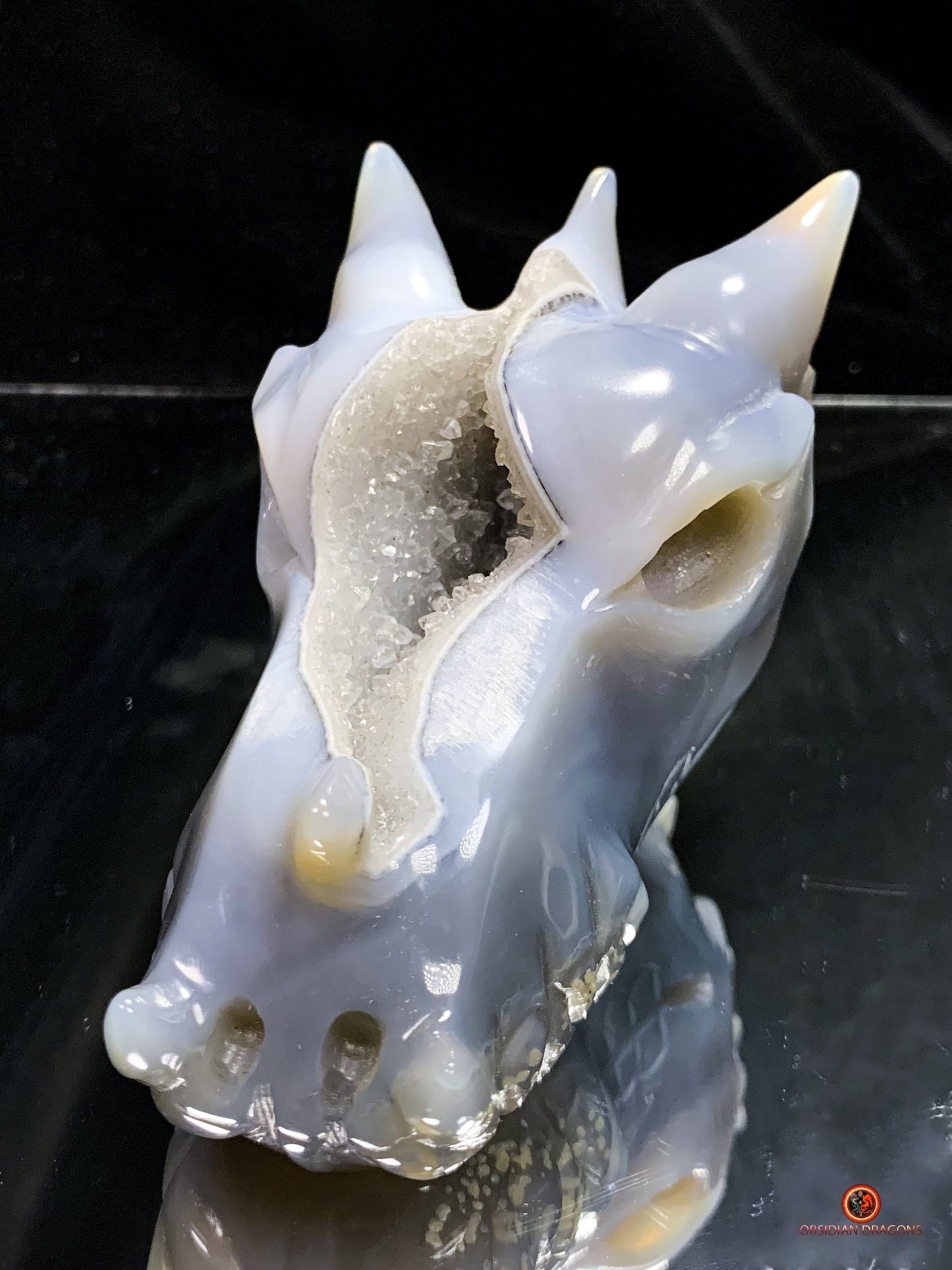 Crâne de Dragon en Géode de Quartz – Éveil et Protection | obsidian dragons