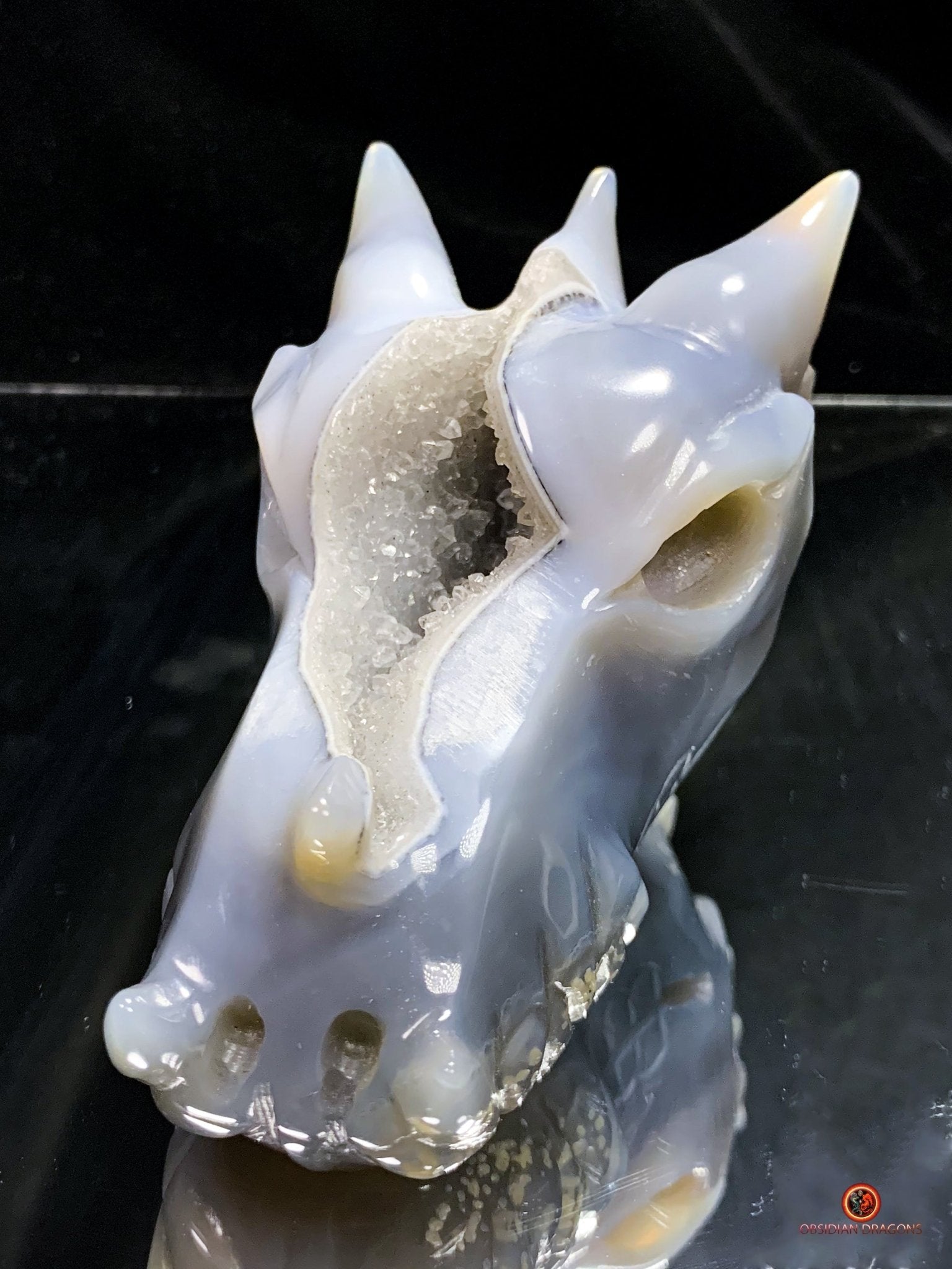 Crâne de Dragon en Géode de Quartz – Éveil et Protection | obsidian dragons