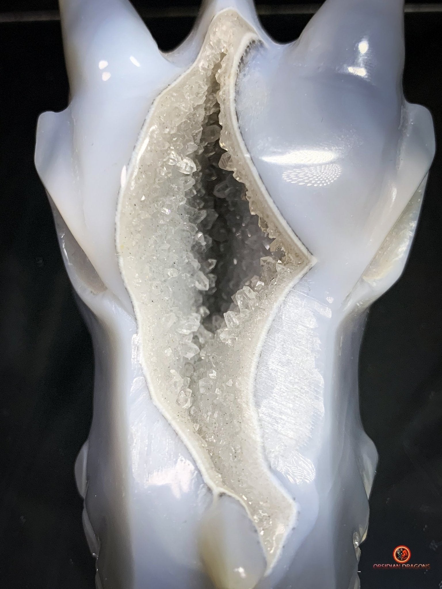 Crâne de Dragon en Géode de Quartz – Éveil et Protection | obsidian dragons