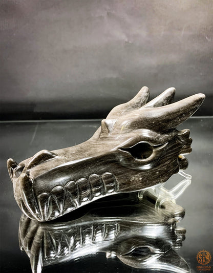 Crâne de Dragon en Obsidienne Argentée – Énergie Lunaire | obsidian dragons