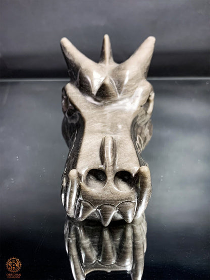 Crâne de Dragon en Obsidienne Argentée – Énergie Lunaire | obsidian dragons