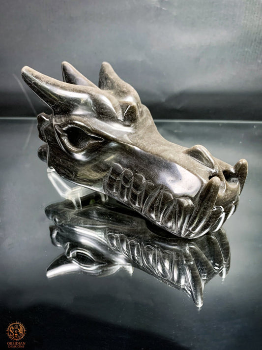 Crâne de Dragon en Obsidienne Argentée – Énergie Lunaire | obsidian dragons