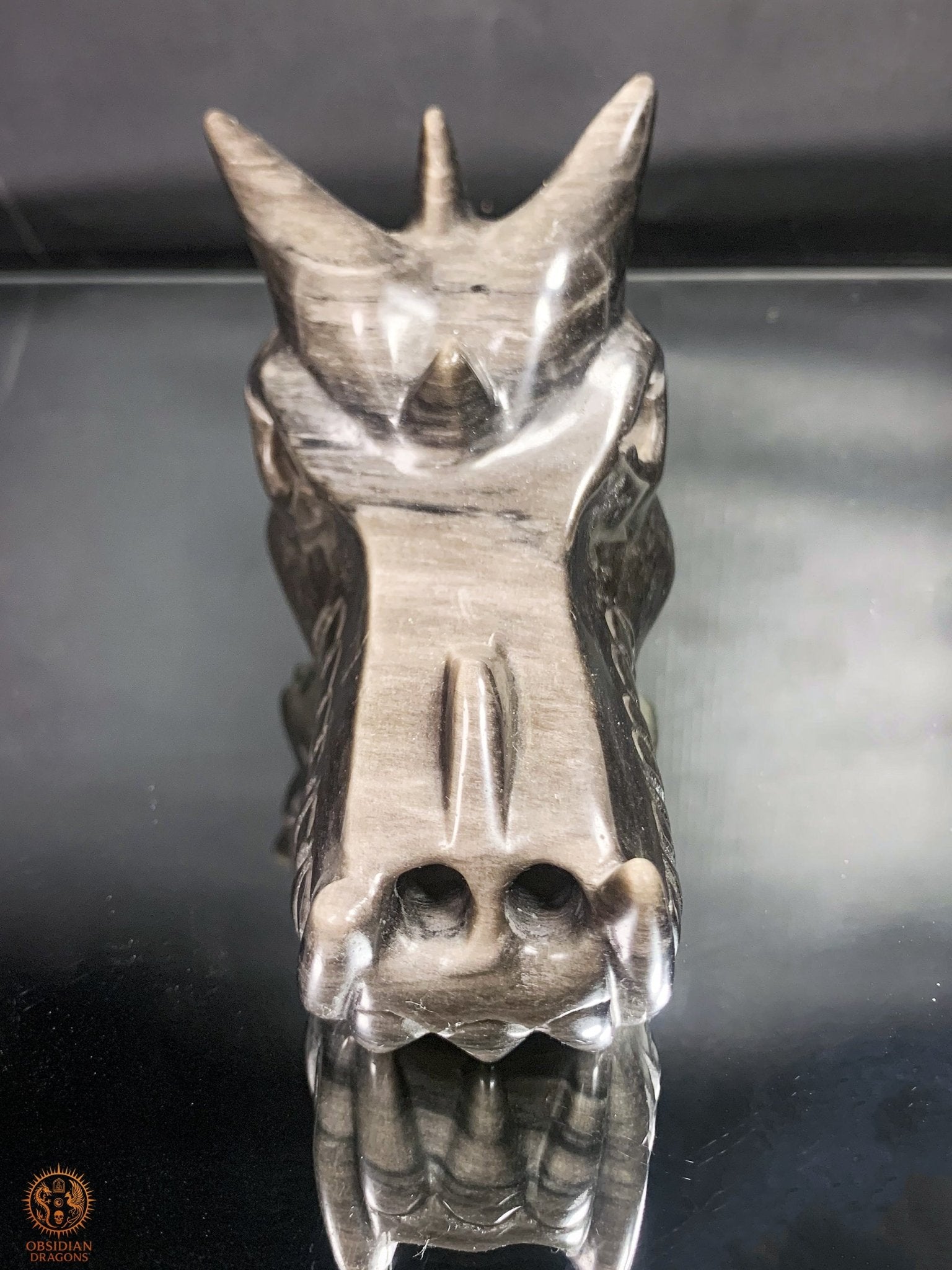 Crâne de Dragon en Obsidienne Argentée – Gardien d’Éclipse | obsidian dragons