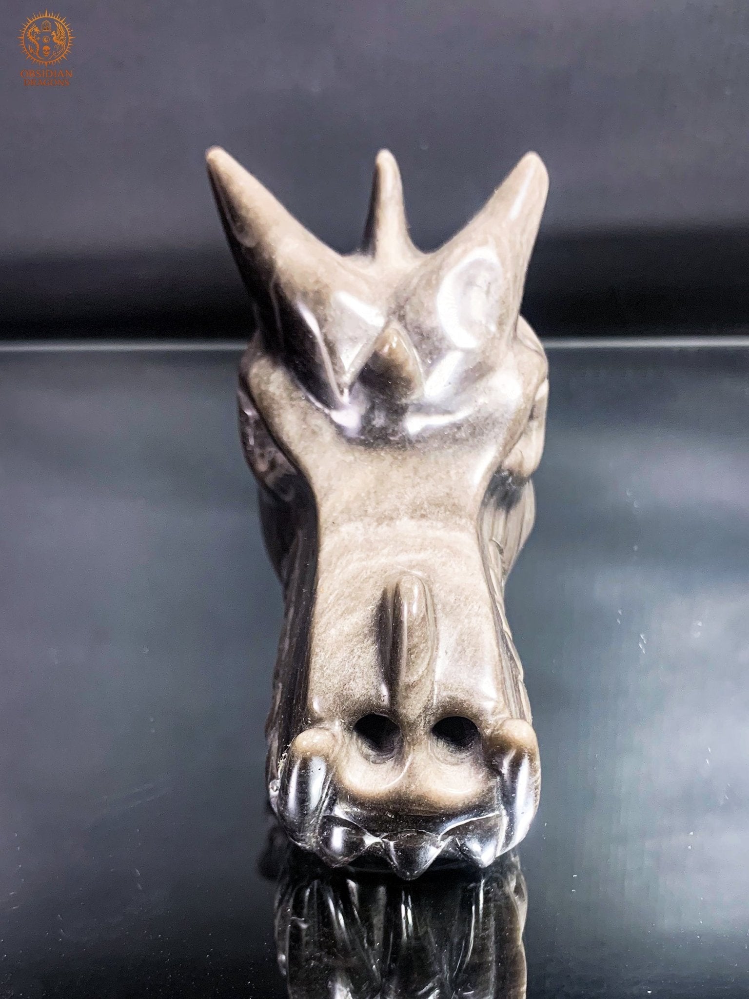 Crâne de Dragon en Obsidienne Argentée – Lame de Clarté | obsidian dragons