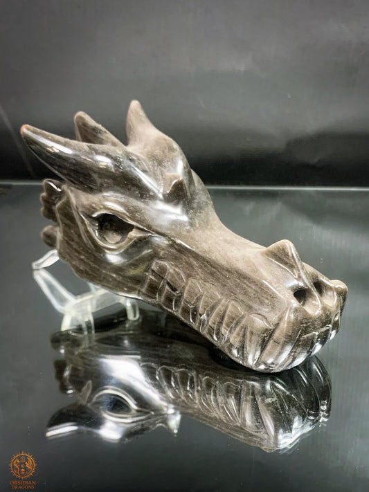 Crâne de Dragon en Obsidienne Argentée – Sentinelle des Ombres | obsidian dragons