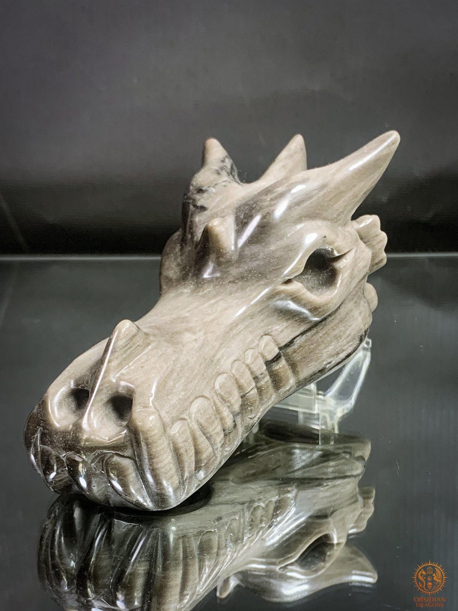 Crâne de Dragon en Obsidienne Argentée – Sentinelle des Ombres | obsidian dragons