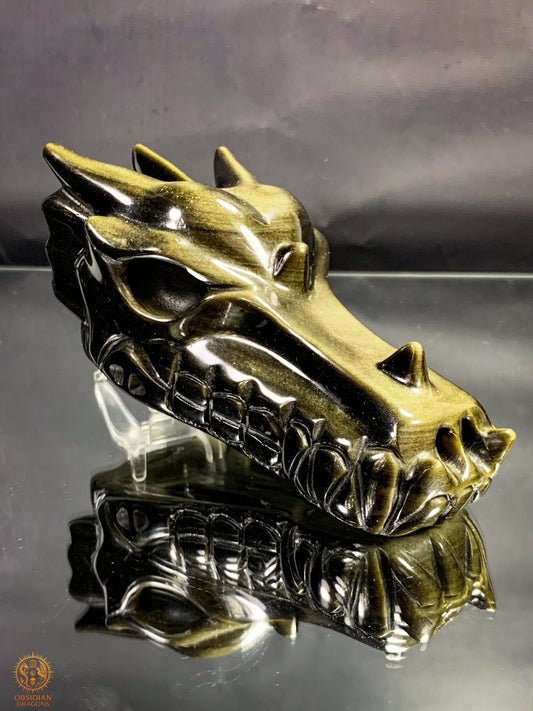 Crâne de Dragon en Obsidienne Dorée – Qualité Exceptionnelle | obsidian dragons