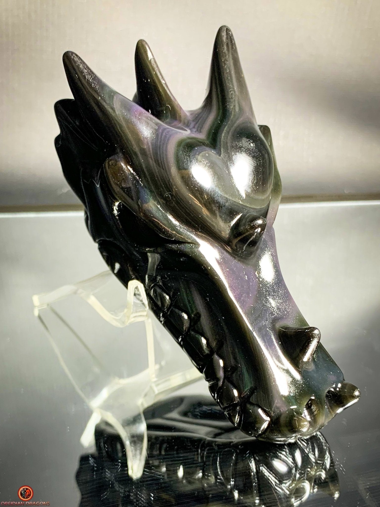 Crâne de Dragon en Obsidienne Œil Céleste - Cœur des Mondes | obsidian dragons