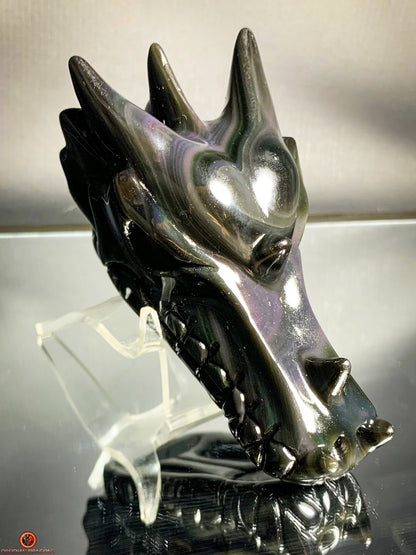 Crâne de Dragon en Obsidienne Œil Céleste - Cœur des Mondes | obsidian dragons