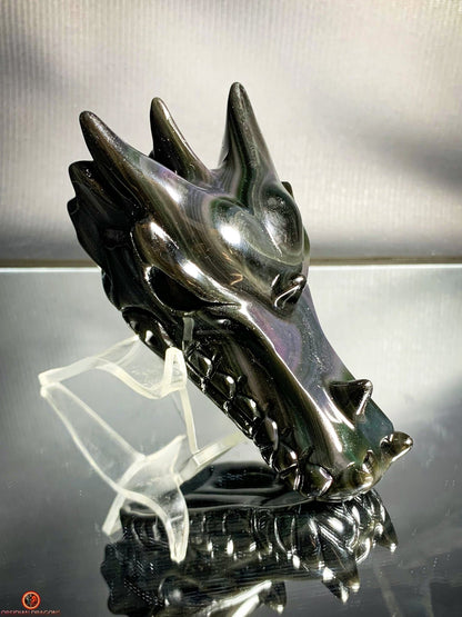Crâne de Dragon en Obsidienne Œil Céleste - Cœur des Mondes | obsidian dragons