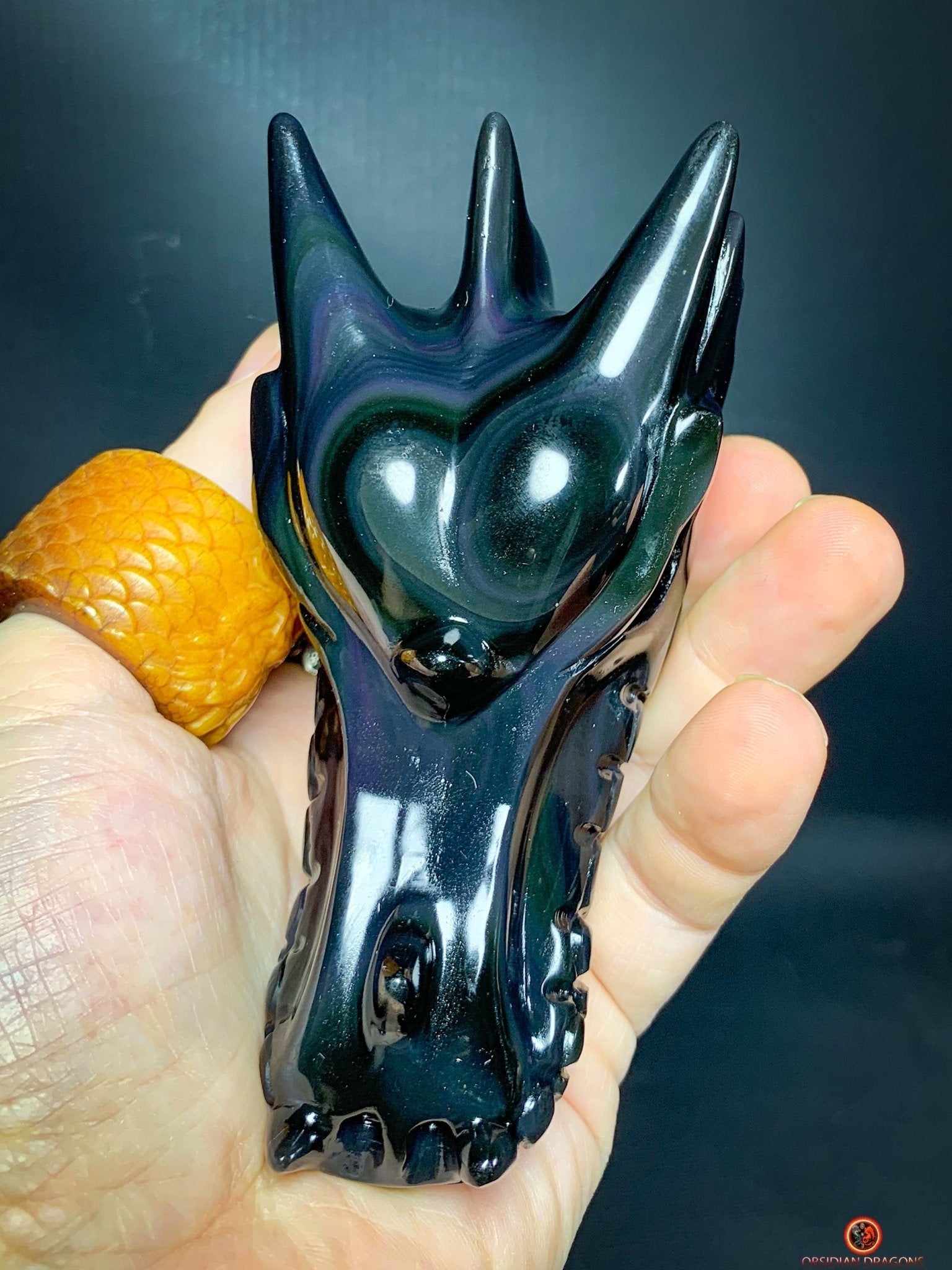 Crâne de Dragon en Obsidienne Œil Céleste - Cœur des Mondes | obsidian dragons