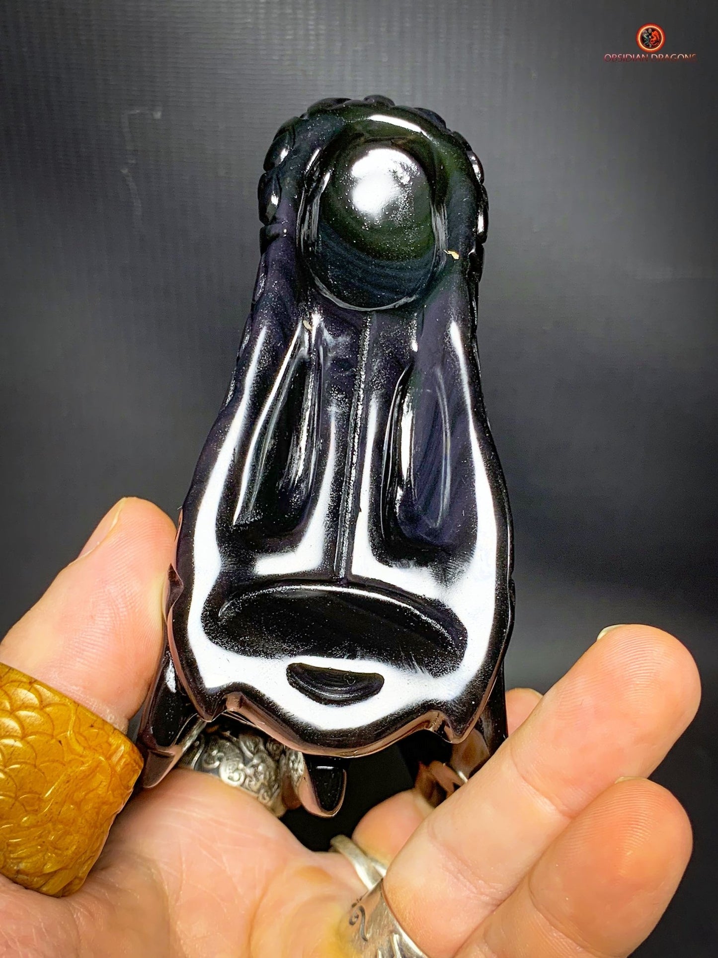 Crâne de Dragon en Obsidienne Œil Céleste - Cœur des Mondes