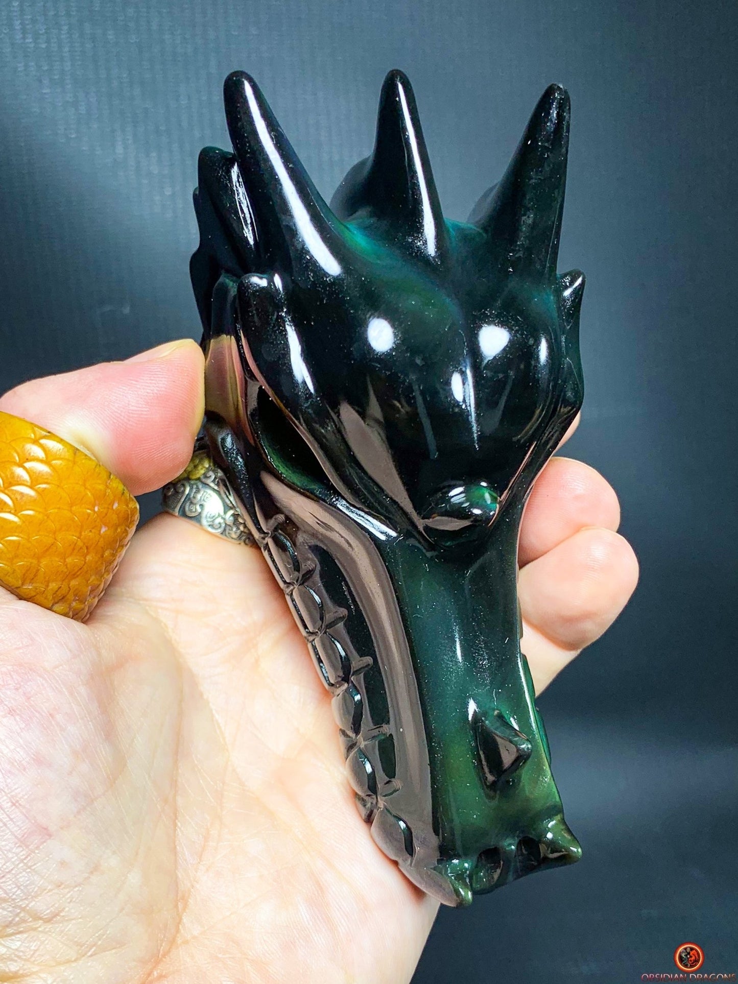 Crâne de Dragon en Obsidienne Œil Céleste – Éveil Intérieur
