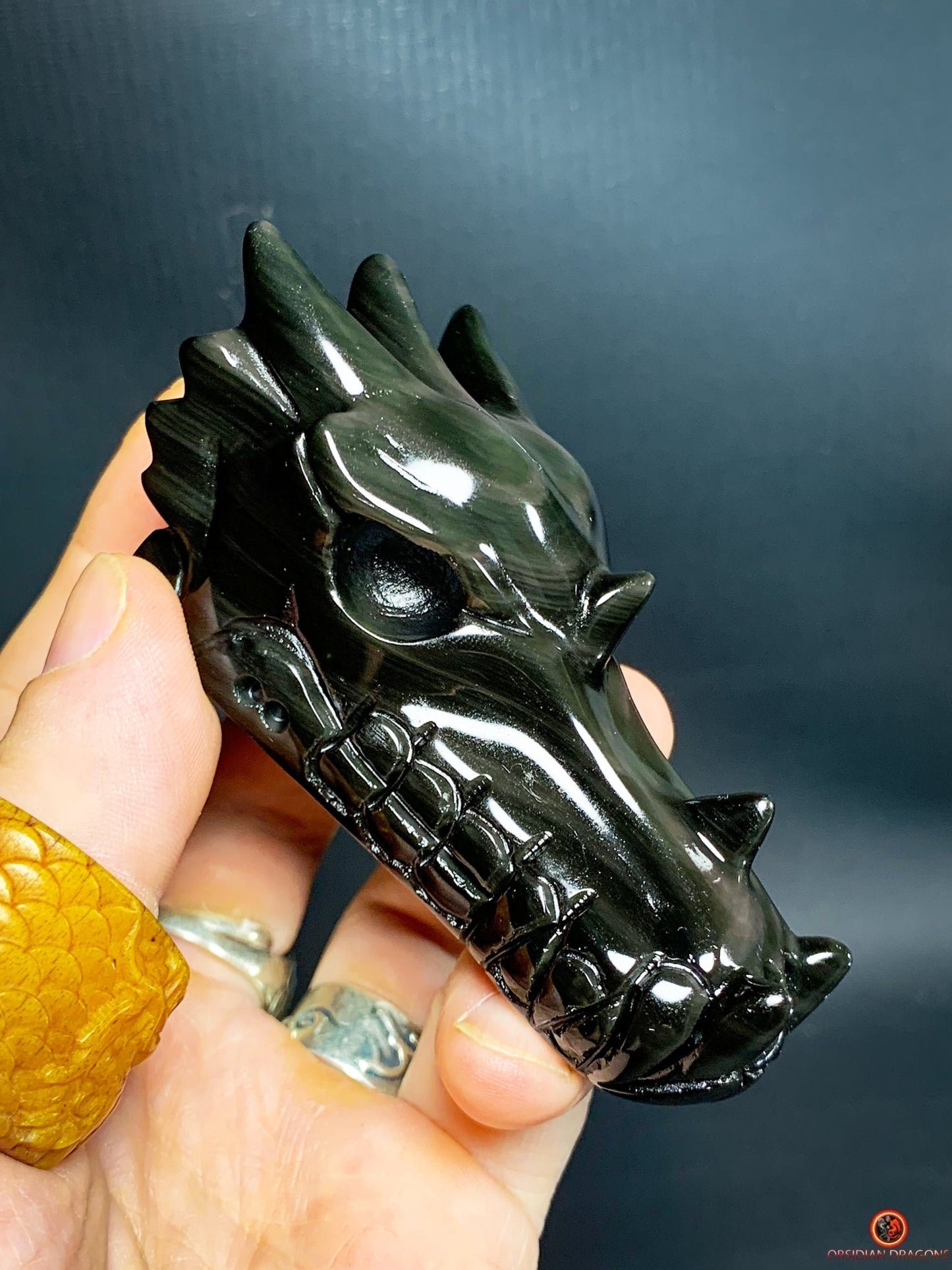 Crâne de Dragon en Obsidienne Œil Céleste – Flamme Primordiale | obsidian dragons