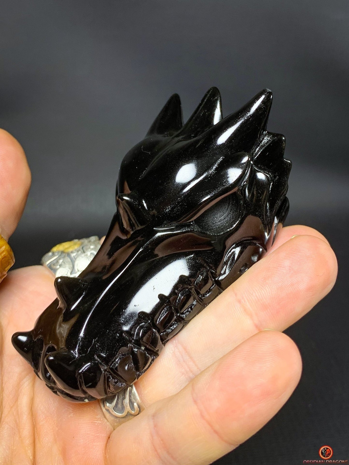 Crâne de Dragon en Obsidienne Œil Céleste – Flamme Primordiale | obsidian dragons