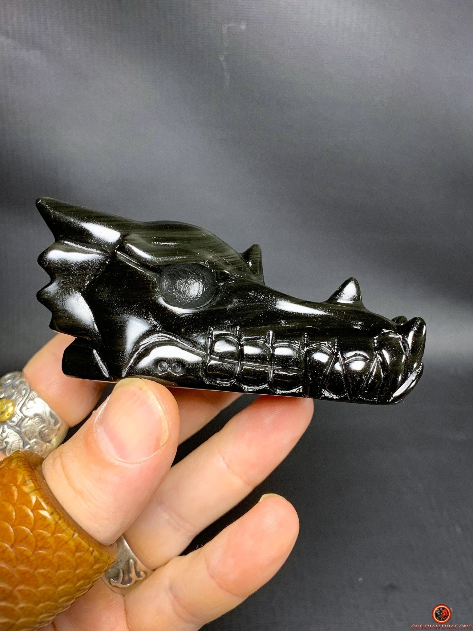 Crâne de Dragon en Obsidienne Œil Céleste – Flamme Primordiale | obsidian dragons