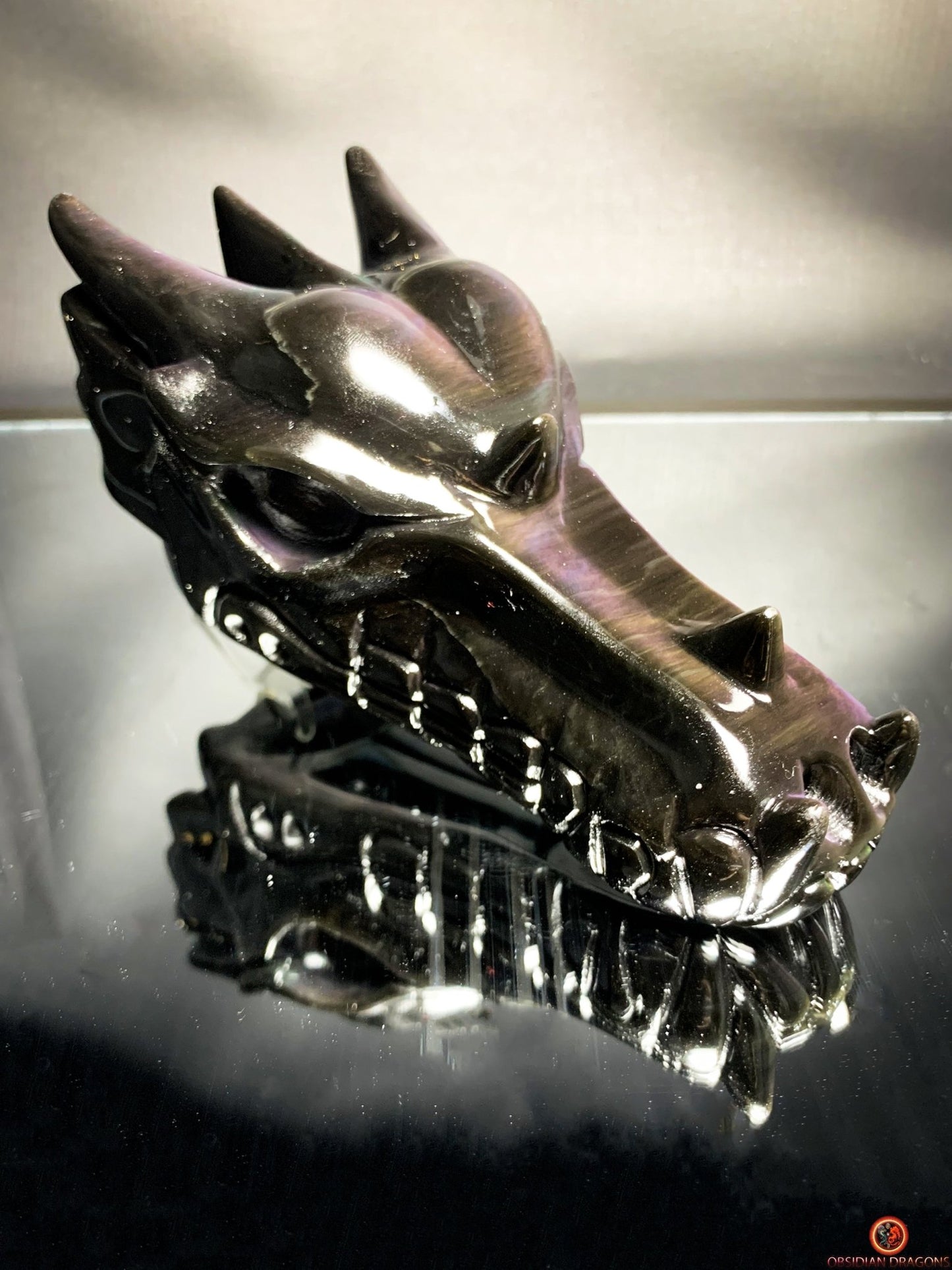Crâne de Dragon en Obsidienne Œil Céleste – Fusion des forces | obsidian dragons