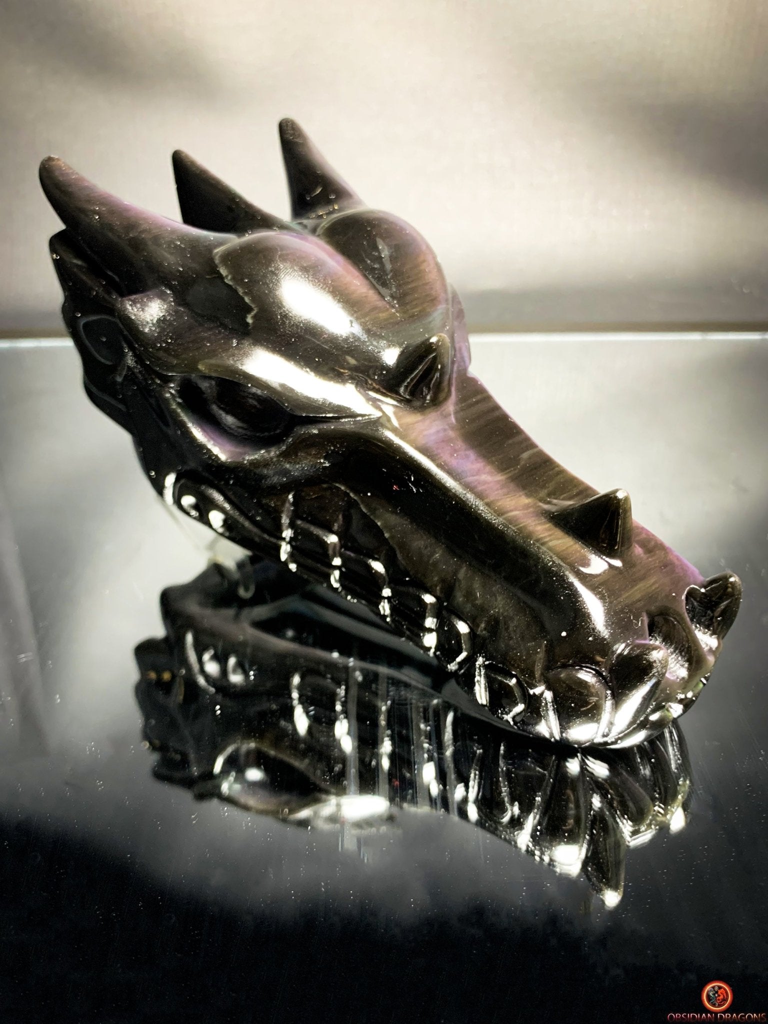Crâne de Dragon en Obsidienne Œil Céleste – Fusion des forces | obsidian dragons
