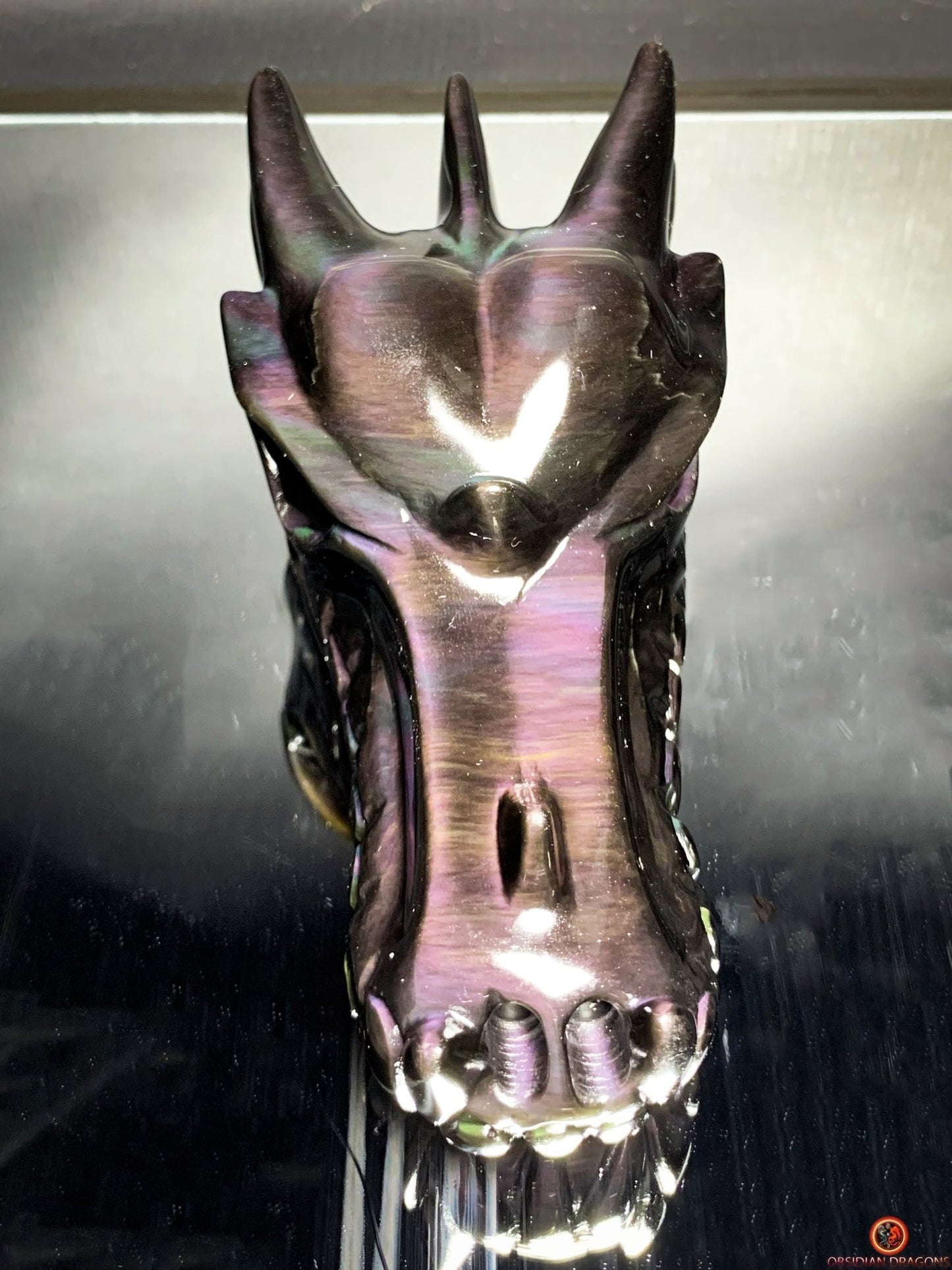 Crâne de Dragon en Obsidienne Œil Céleste – Fusion des forces | obsidian dragons