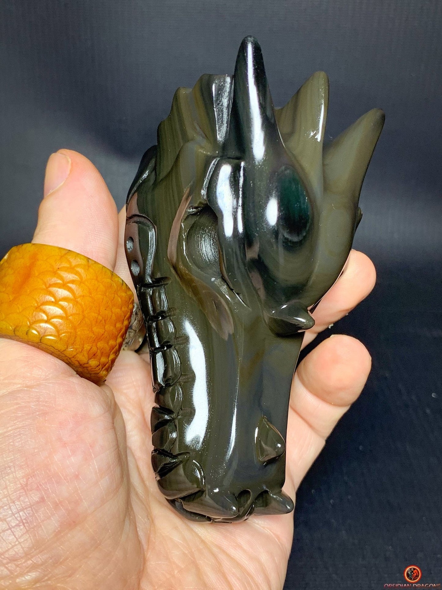 Crâne de Dragon en Obsidienne Œil Céleste - Gardien du Passage | obsidian dragons