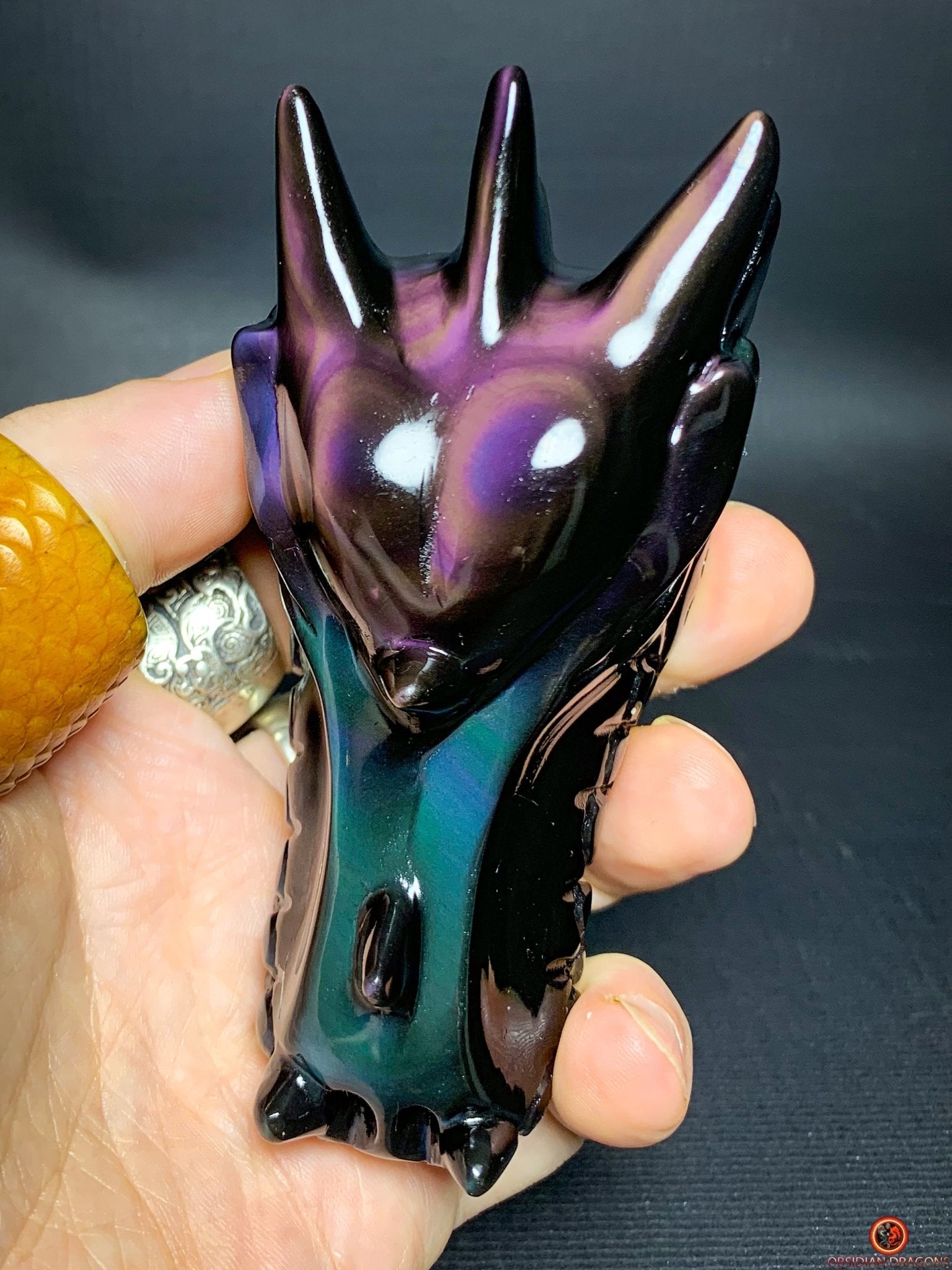 Crâne de Dragon en Obsidienne Œil Céleste – Souffle Éthérique | obsidian dragons