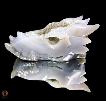 Crâne de Dragon en calcédoine- Géode- Éveil Minéral
