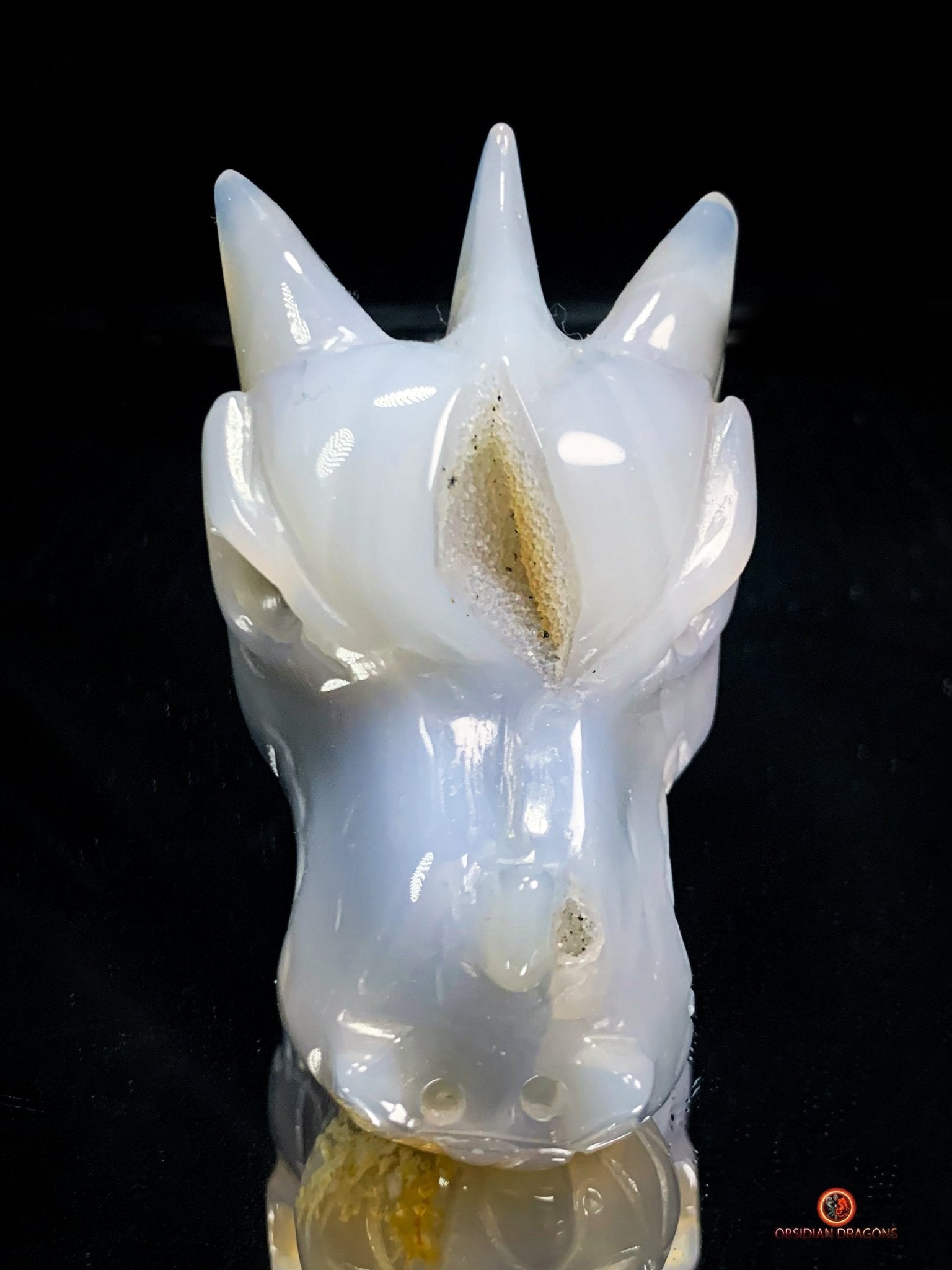 Crâne de Dragon en géode de Quartz – Harmonie Spirituelle | obsidian dragons