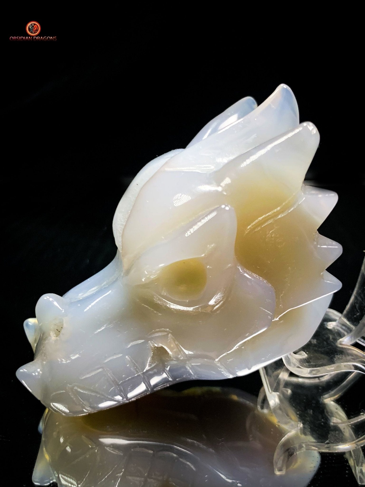 Crâne de Dragon en géode de Quartz – Harmonie Spirituelle | obsidian dragons