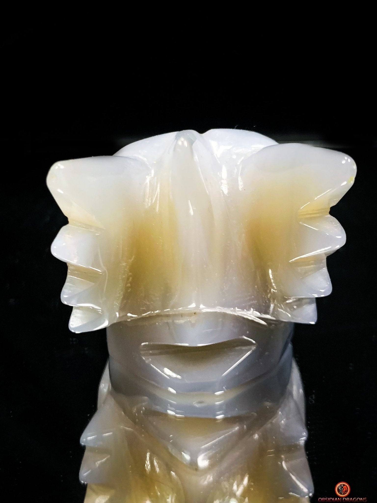 Crâne de Dragon en géode de Quartz – Harmonie Spirituelle | obsidian dragons
