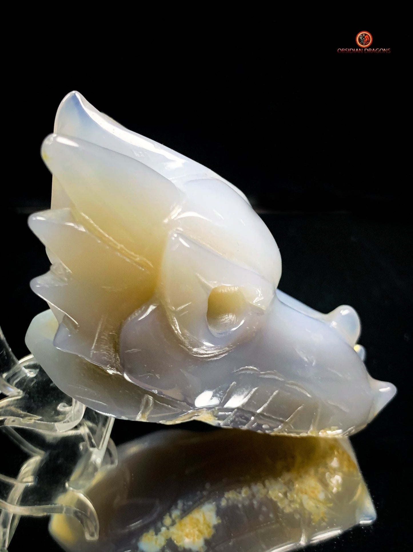 Crâne de Dragon en géode de Quartz – Harmonie Spirituelle - obsidian dragons