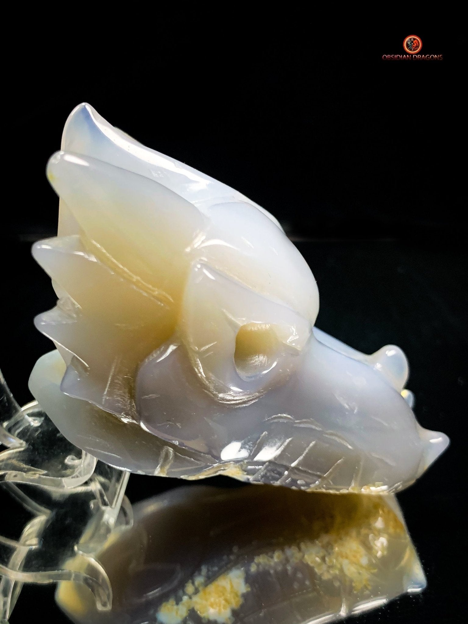 Crâne de Dragon en géode de Quartz – Harmonie Spirituelle - obsidian dragons