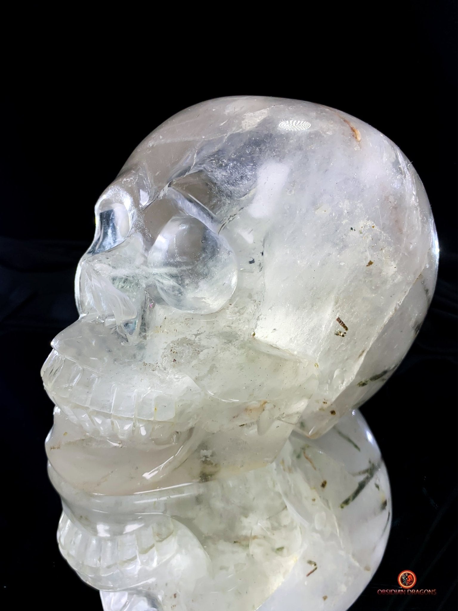 Crâne de cristal de roche à inclusions de tourmalines | obsidian dragons