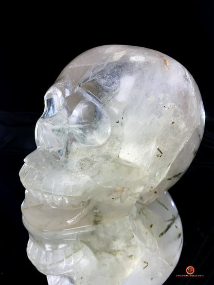 Crâne de cristal de roche à inclusions de tourmalines | obsidian dragons