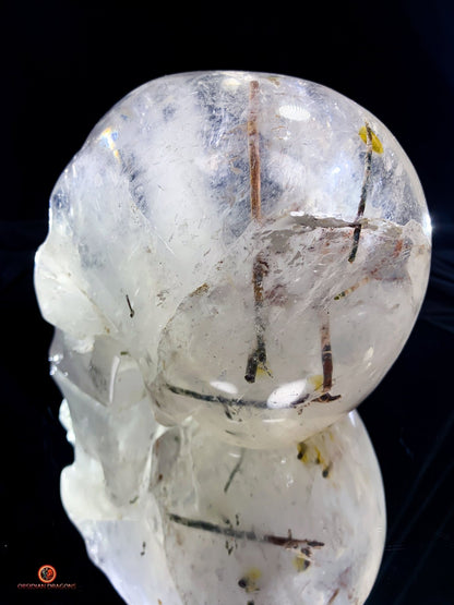 Crâne de cristal de roche à inclusions de tourmalines | obsidian dragons