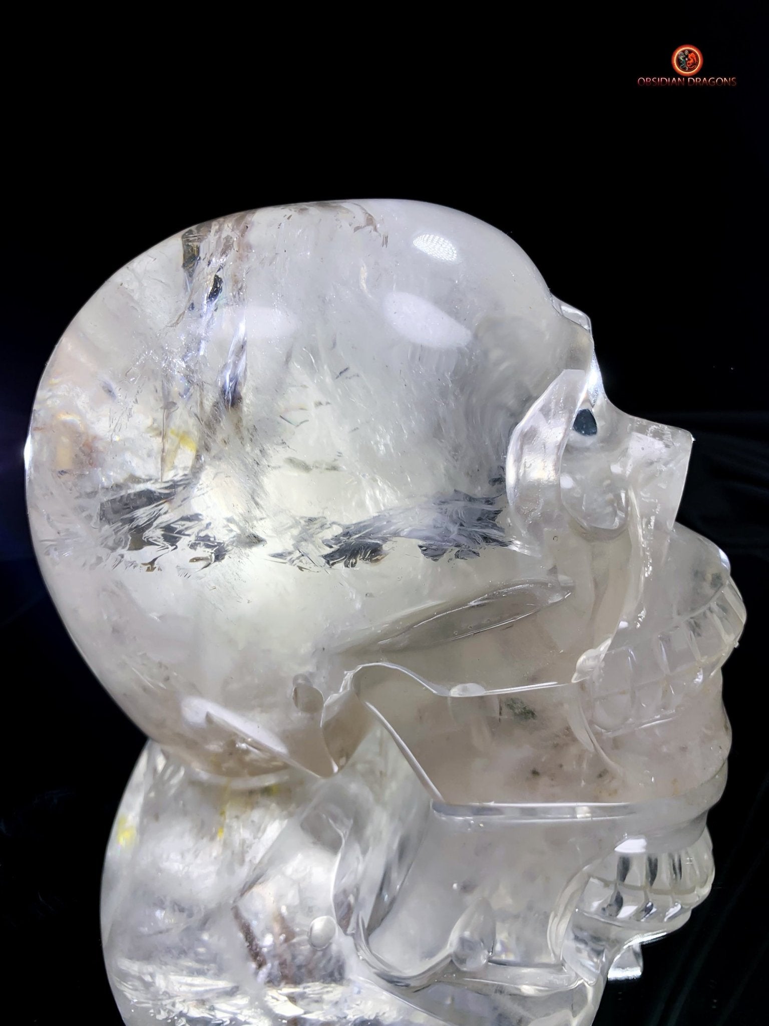 Crâne de cristal de roche à inclusions de tourmalines | obsidian dragons