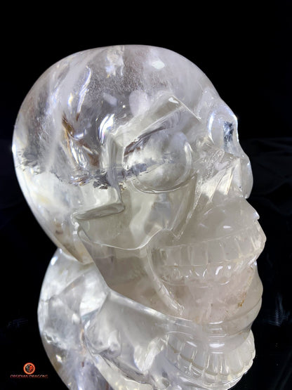 Crâne de cristal de roche à inclusions de tourmalines | obsidian dragons
