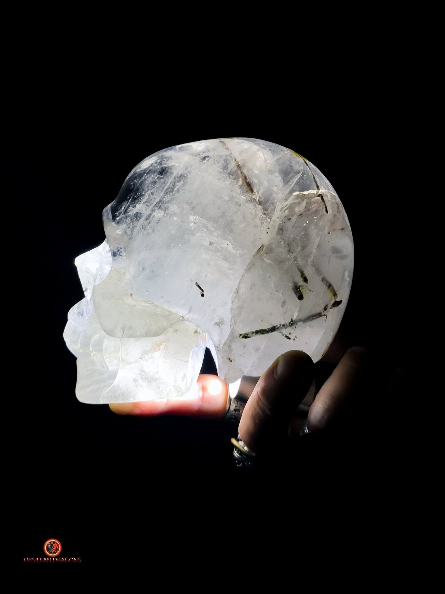Crâne de cristal de roche à inclusions de tourmalines | obsidian dragons