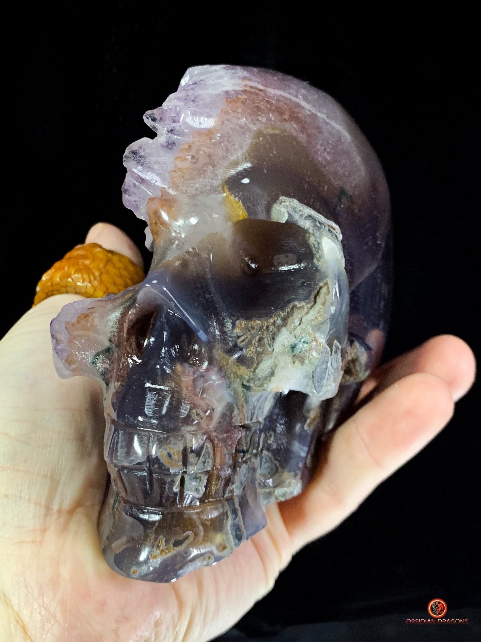 Crâne de cristal en Améthyste - Sculpture rare et Unique | obsidian dragons