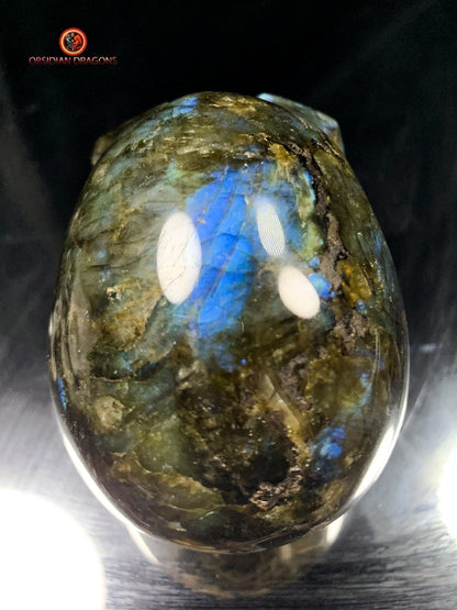 Crâne de Cristal en Labradorite - Cristal Énergisant | obsidian dragons