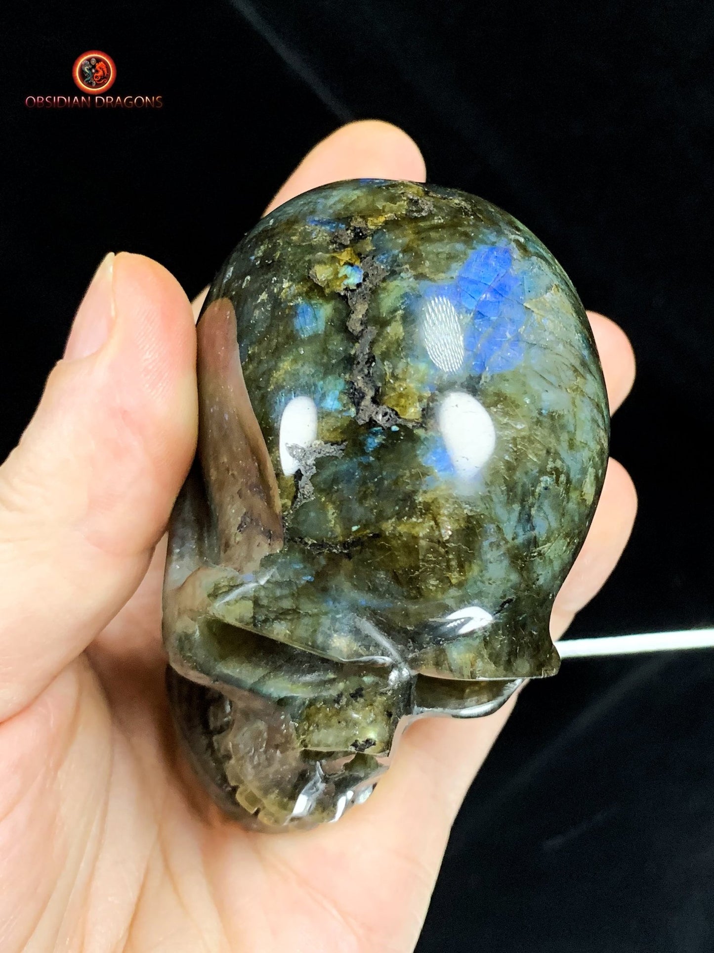 Crâne de Cristal en Labradorite - Cristal Énergisant | obsidian dragons