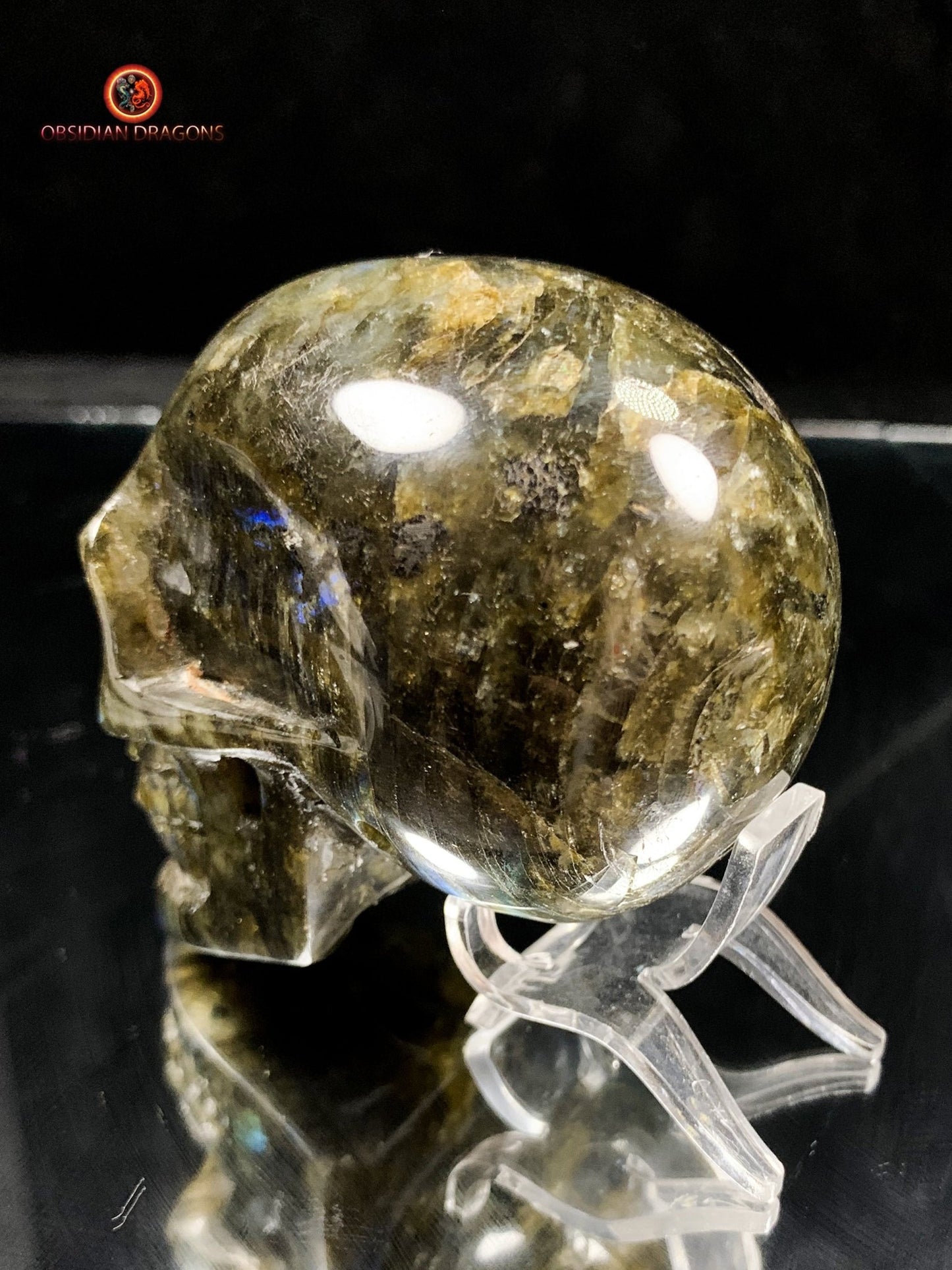 Crâne de Cristal en Labradorite - Cristal Énergisant | obsidian dragons