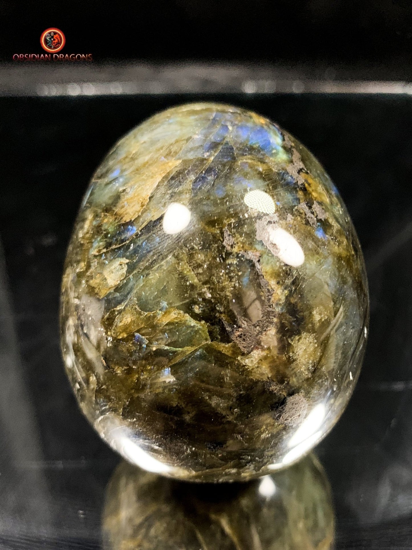 Crâne de Cristal en Labradorite - Cristal Énergisant | obsidian dragons