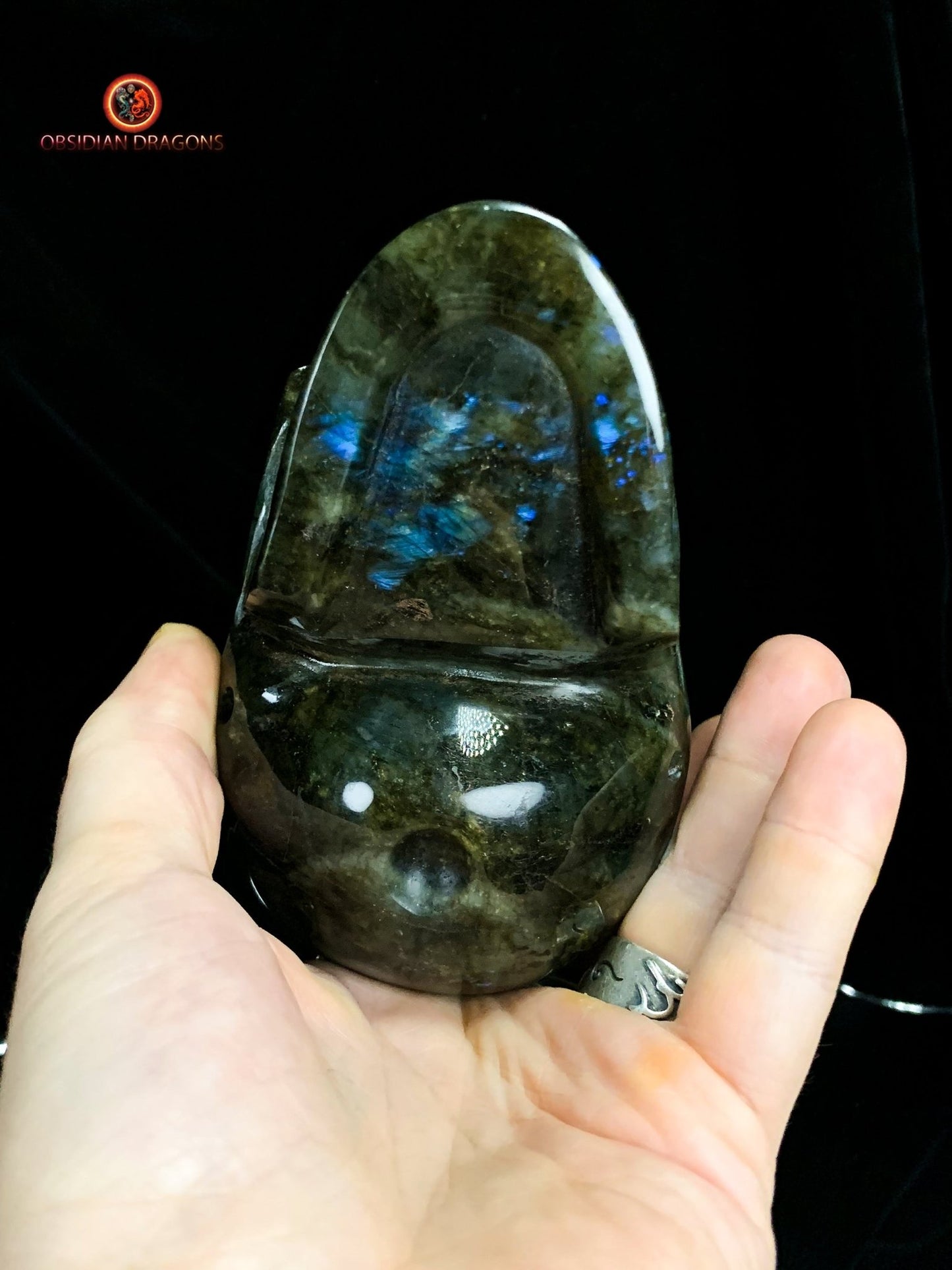 Crâne en Labradorite Naturelle - Artisanal | obsidian dragons