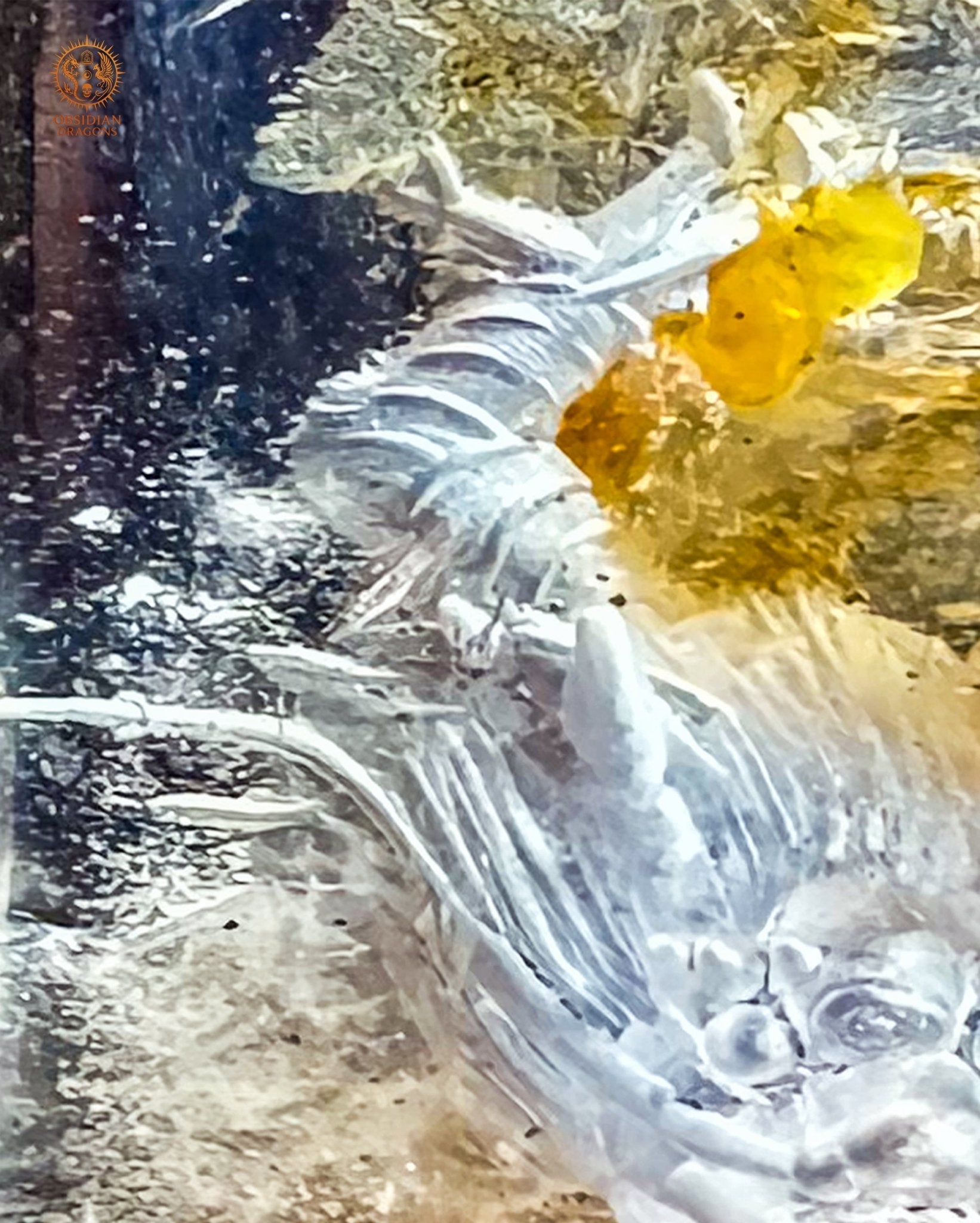 Dragon en Cristal de Roche Glyptique - Pièce Unique | obsidian dragons