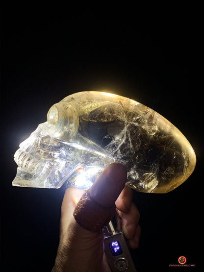 Grand Crâne de Cristal Alien Allongé – Quartz Fumé - 2,16kg | obsidian dragons