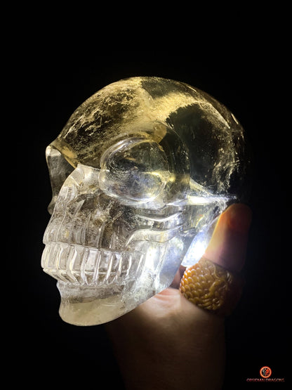 Grand Crâne de Cristal Alien Allongé – Quartz Fumé - 2,16kg - obsidian dragons