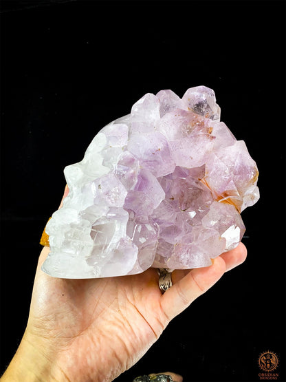 Grand Crâne de Cristal en Améthyste – Le Veilleur - obsidian dragons