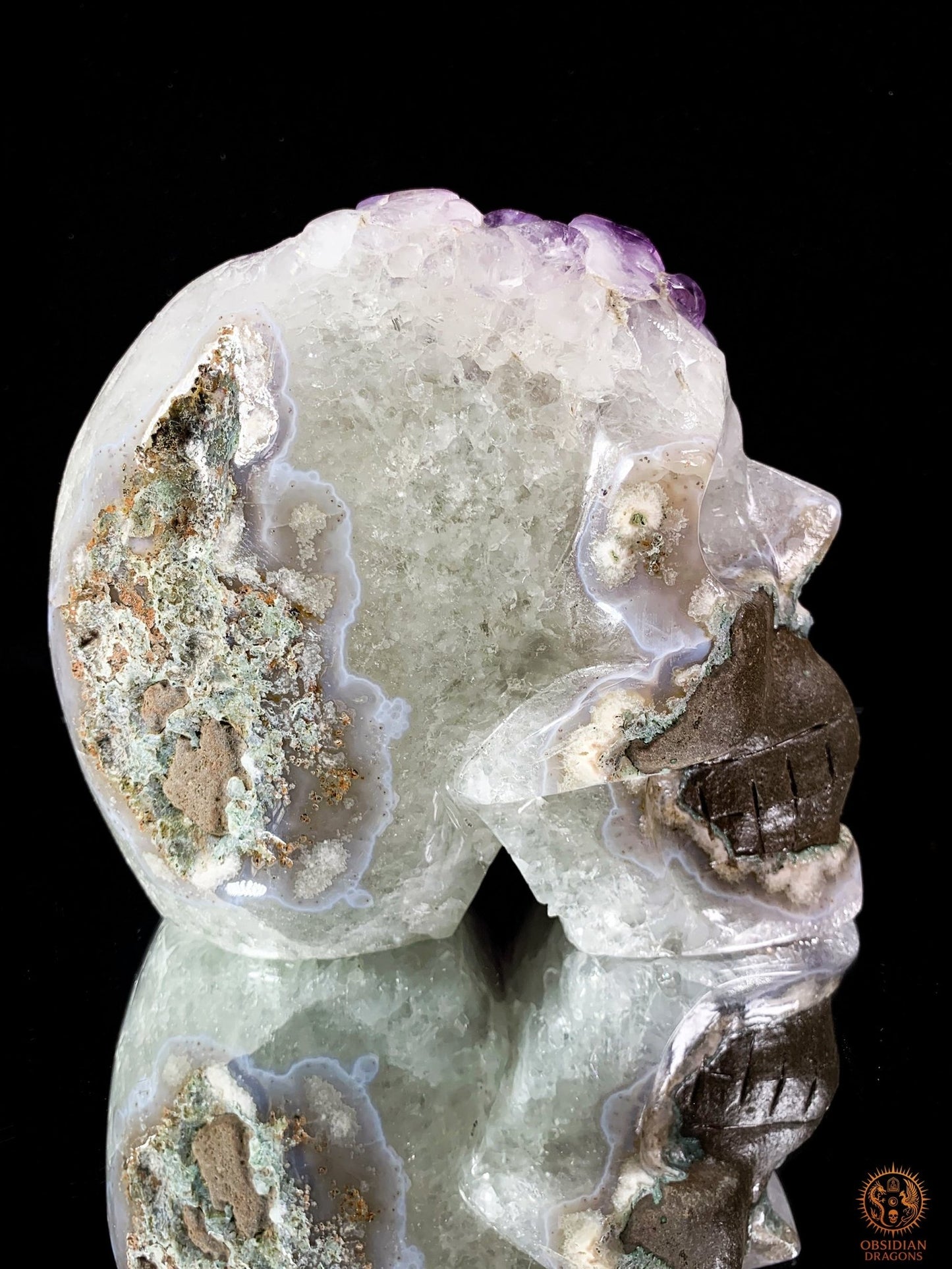 Grand Crâne de Cristal en Améthyste – Lumière Primordiale | obsidian dragons