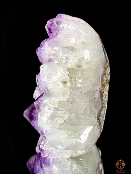 Grand Crâne de Cristal en Améthyste – Lumière Primordiale | obsidian dragons